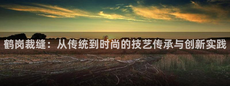 天辰娱乐视频