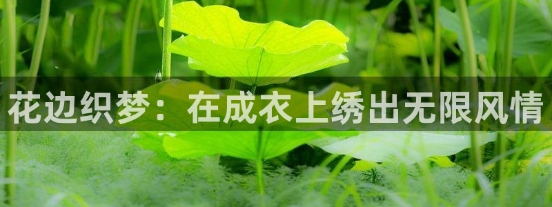 天辰娱乐 39974