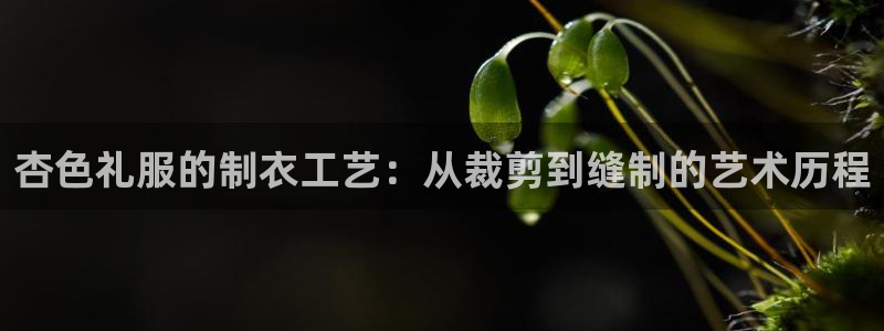天辰娱乐下载地址