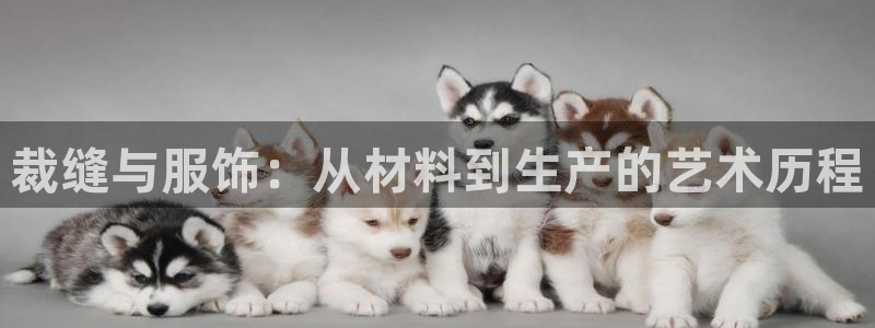 天辰娱乐51137