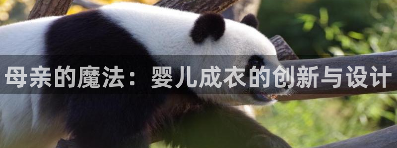 天辰娱乐平台测速