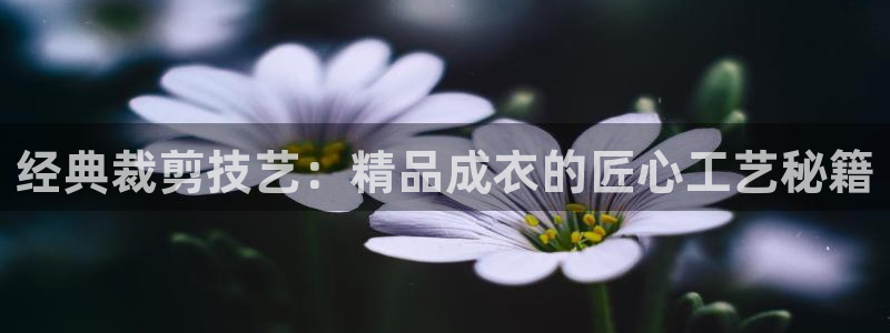 天辰娱乐61116