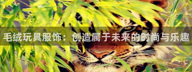 天辰娱乐的网址首页