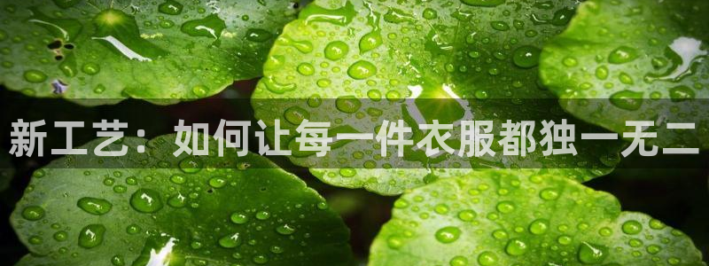 天富娱乐与天辰娱乐