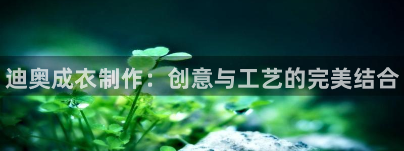 nba天辰娱乐
