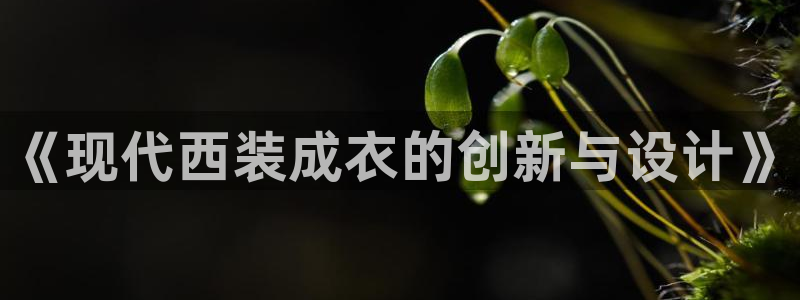 天辰娱乐小姐