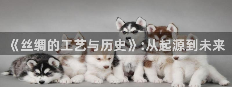天辰娱乐 728567