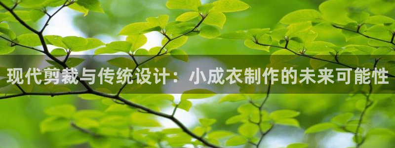 天辰娱乐线路
