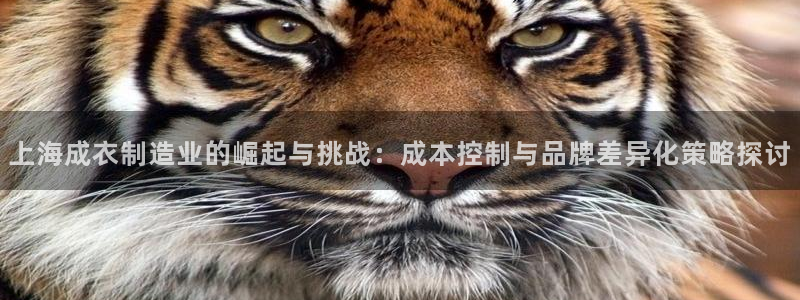 nba天辰娱乐