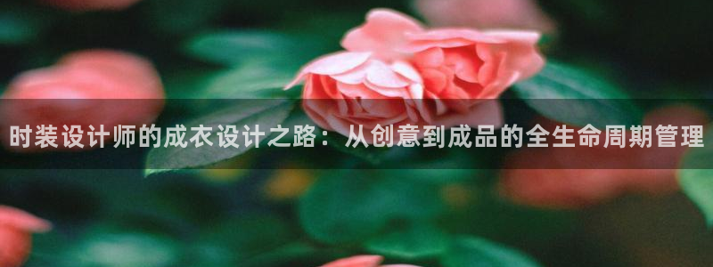 天辰娱乐海洋