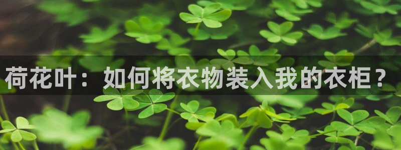 天辰娱乐指尖所