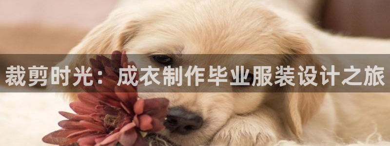 天辰娱乐公司