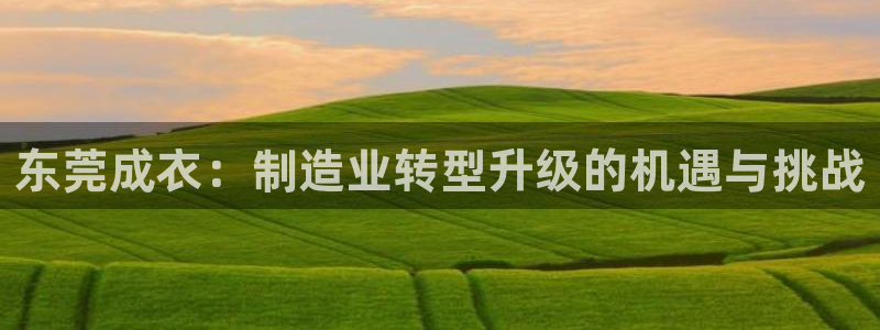 天辰娱乐游客