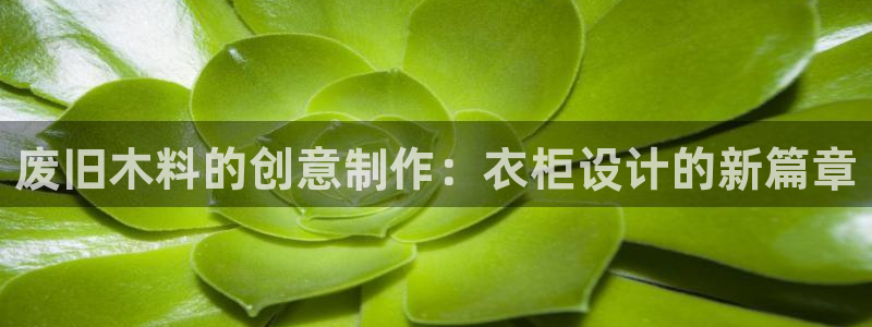 天辰娱乐44616