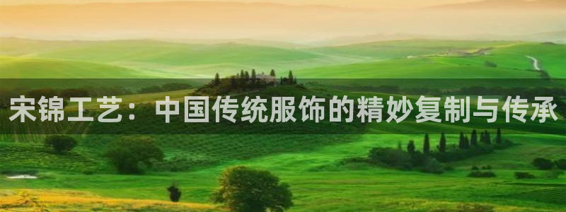 天辰娱乐老板