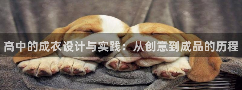天辰娱乐 231639