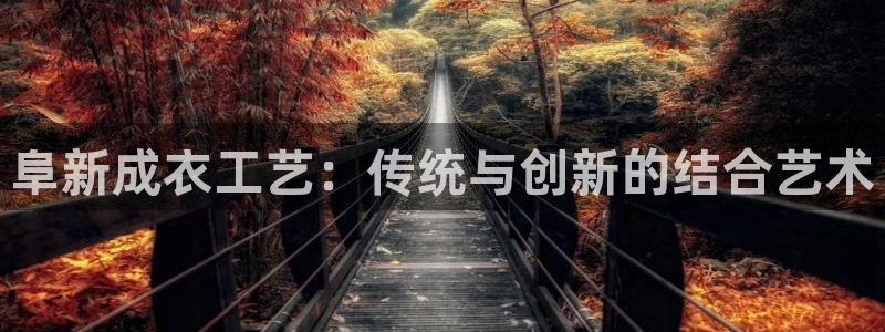 天辰娱乐海洋