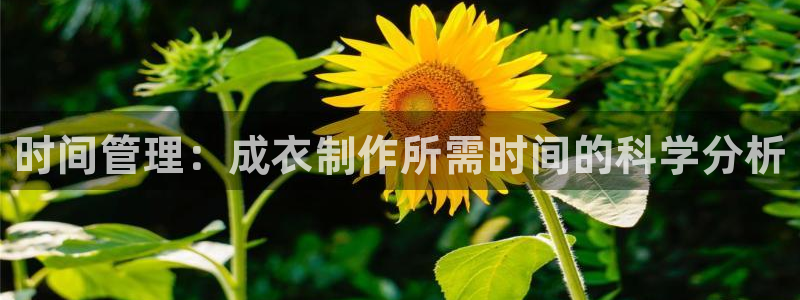 天辰娱乐线路