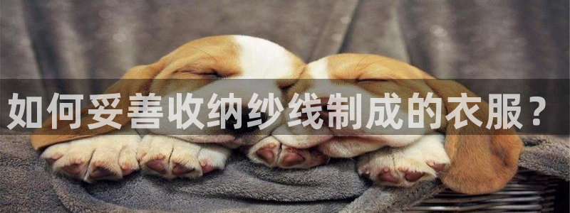 天辰宝娱乐