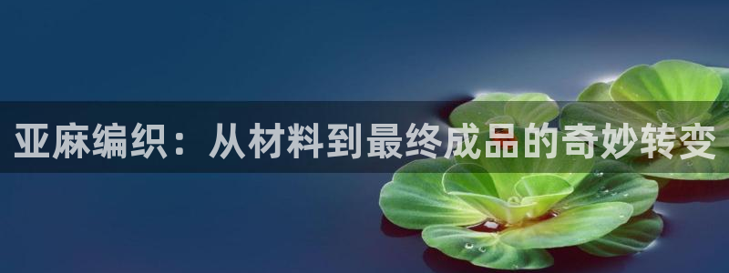 天辰娱乐登陆平台