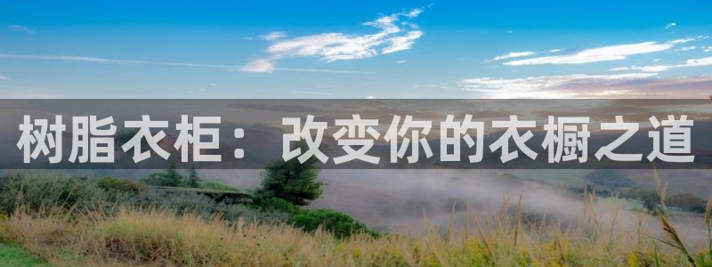 手机上怎么下载天辰娱乐